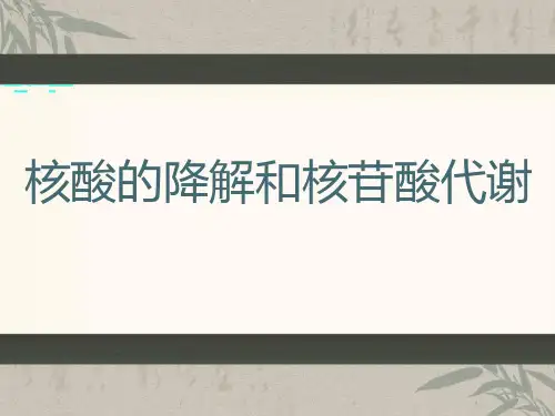 核酸的降解和核苷酸代谢