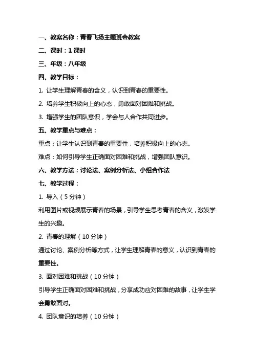 青春飞扬主题班会教案