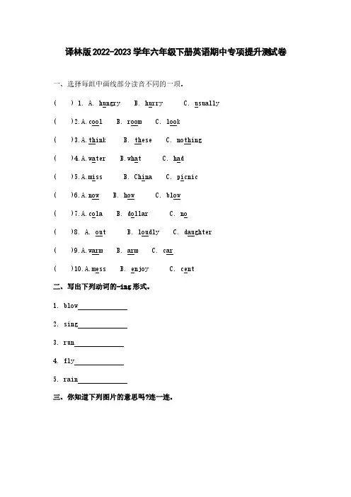 译林版2022-2023学年六年级下册英语期中专项提升测试卷(含解析)