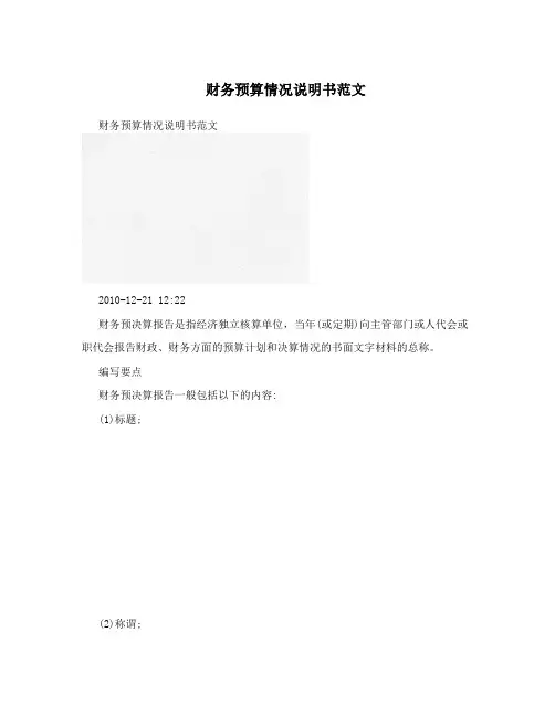 财务预算情况说明书范文