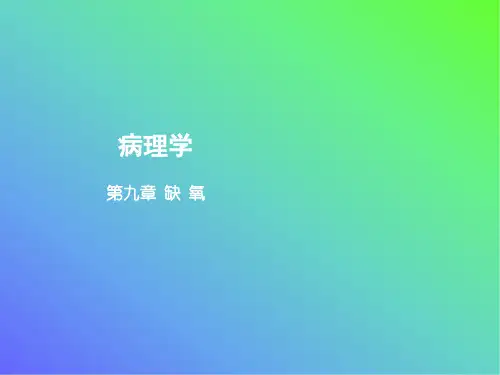 病理学教学第九章 缺 氧