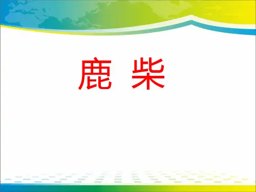 《鹿柴》PPT课件【优秀课件推荐】
