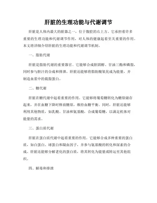 肝脏的生理功能与代谢调节