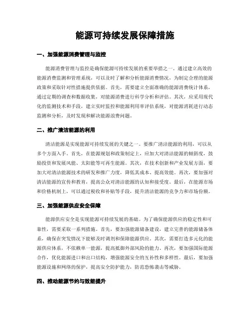 能源可持续发展保障措施