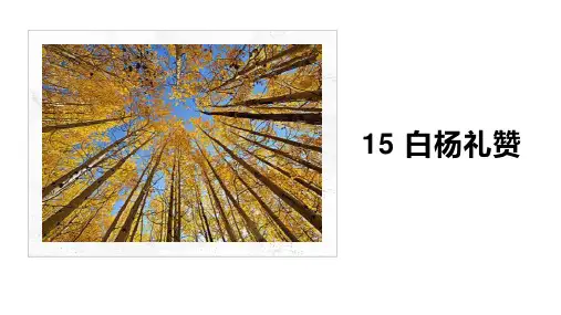 第15课《白杨礼赞》课件(共21张PPT)+2023—2024学年统编版语文八年级上册