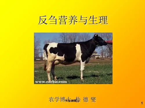 反刍动物的营养和生理--韩国060614)ppt课件