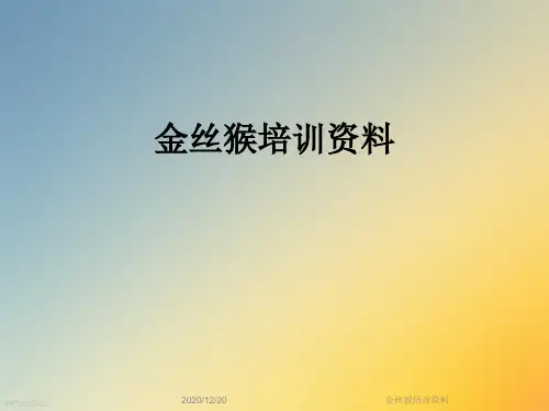 金丝猴培训资料