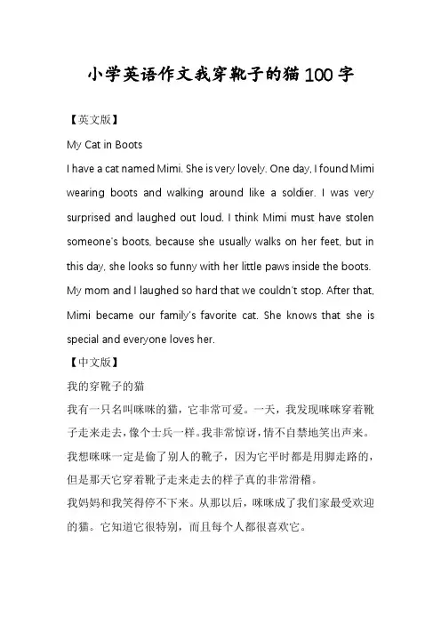 小学英语作文我穿靴子的猫100字