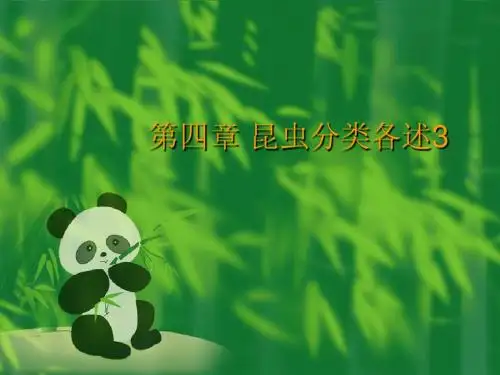 5昆虫分类