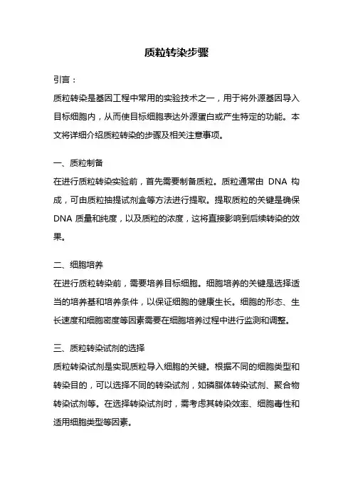 质粒转染步骤