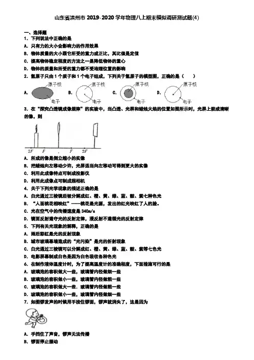 山东省滨州市2019-2020学年物理八上期末模拟调研测试题(4)
