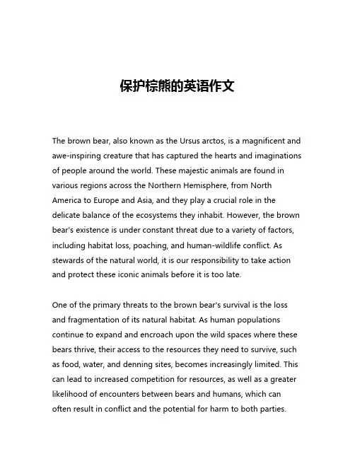 保护棕熊的英语作文