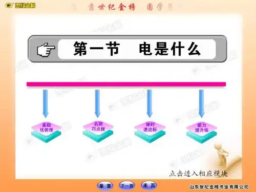 九年级物理同步辅导   电是什么