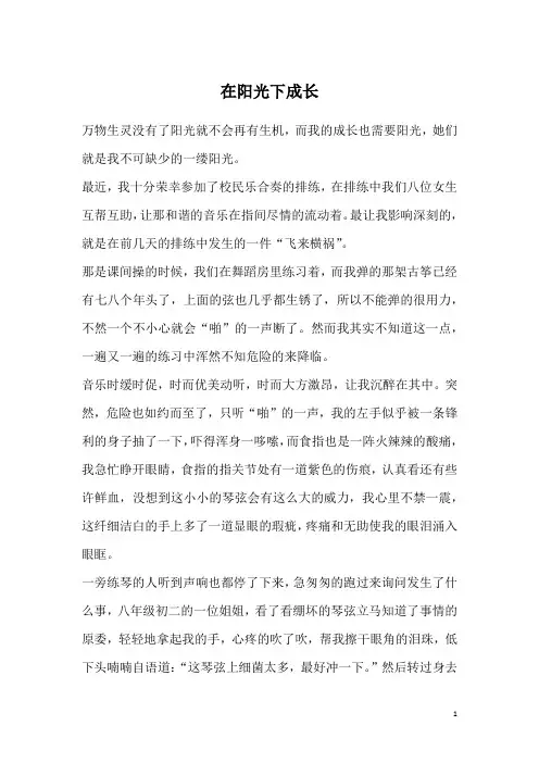 在阳光下成长_4