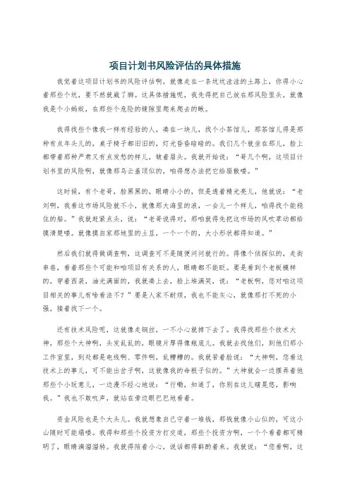 项目计划书风险评估的具体措施