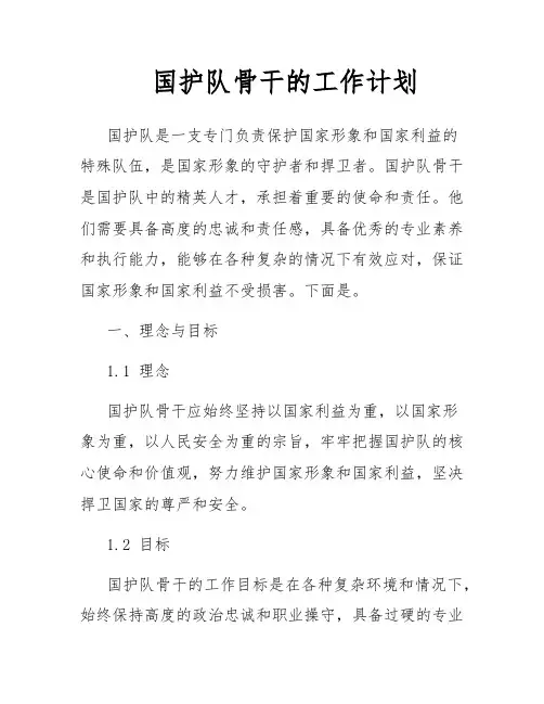 国护队骨干的工作计划