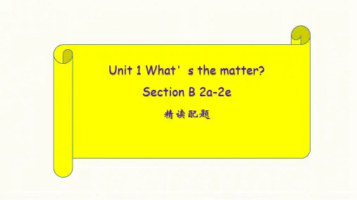 人教版八年级英语下册 Unit 1 What's the matter SectionB 2a-2e