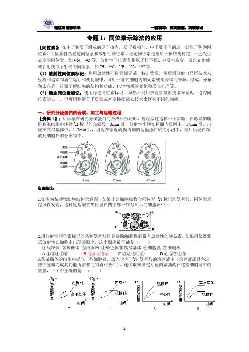 专题33-同位素标记法的应用