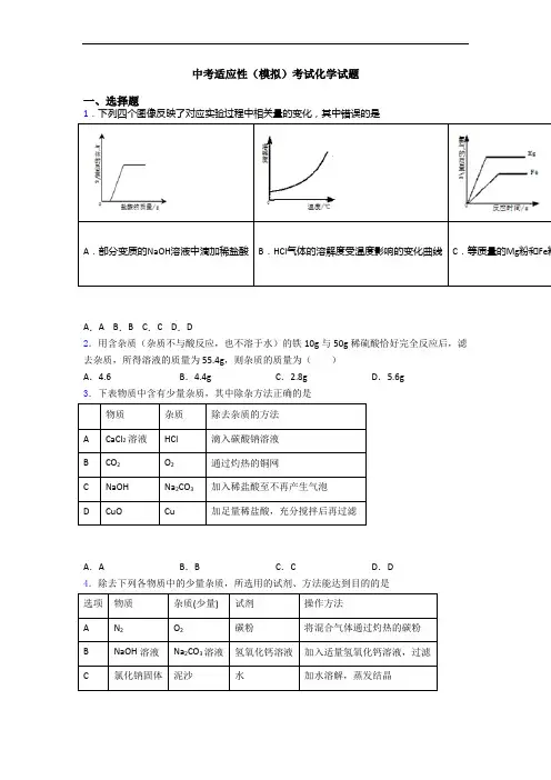 中考适应性(模拟)考试化学试题