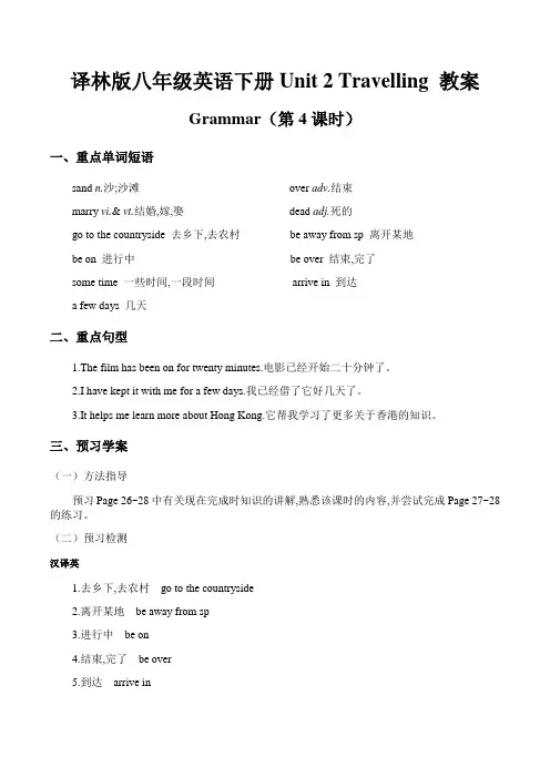 译林版八年级英语下册Unit 2 Travelling教案之Grammar(第4课时)
