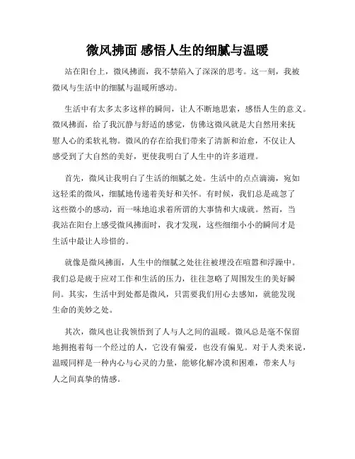 微风拂面 感悟人生的细腻与温暖