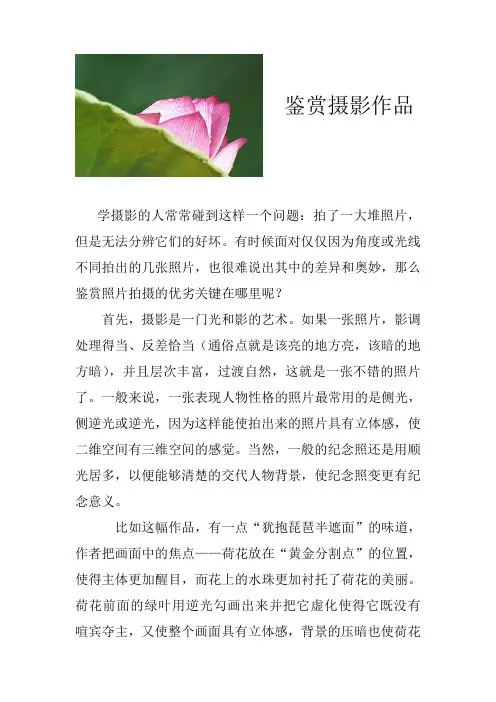 鉴赏摄影作品.doc