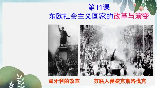 九年级历史下册第11课东欧社会主义国家的改革与演变课件2新人教版