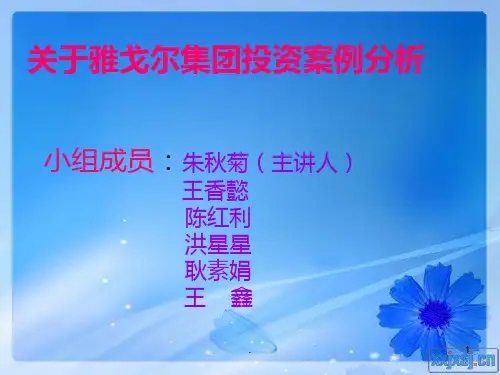 关于雅戈尔集团投资案例分析PPT课件