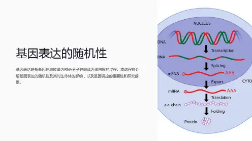 《基因表达的随机性》课件