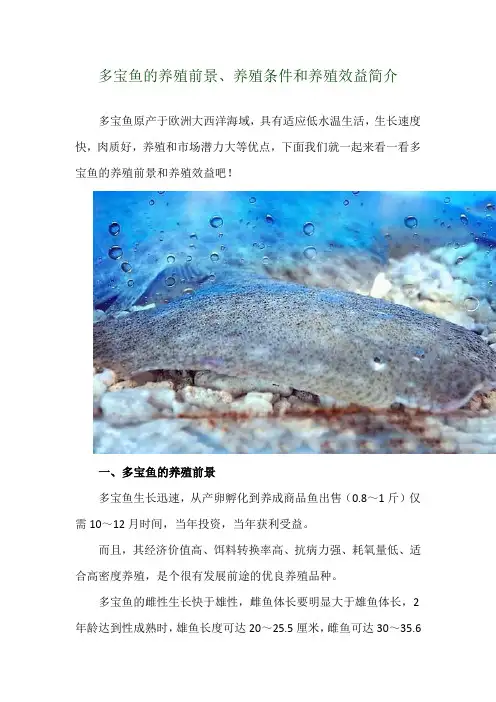 多宝鱼的养殖前景、养殖条件和养殖效益简介