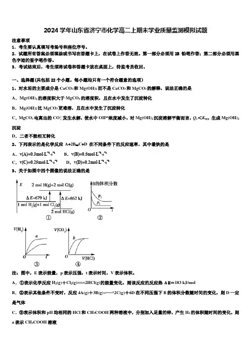 2024学年山东省济宁市化学高二上期末学业质量监测模拟试题含解析