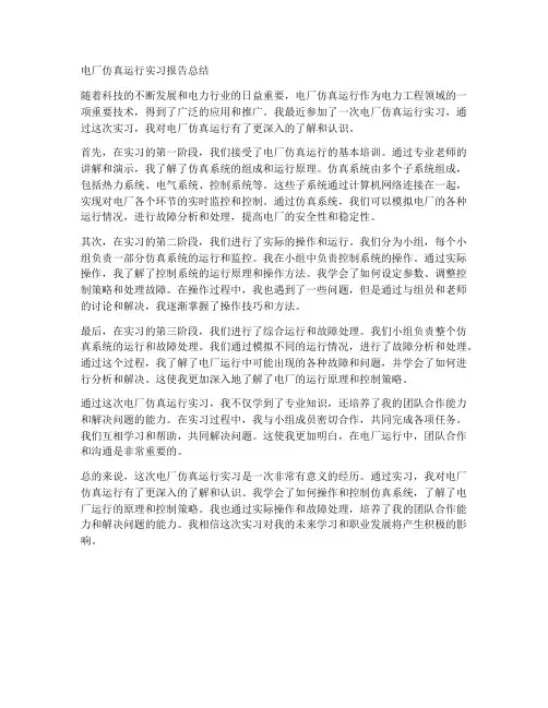 电厂仿真运行实习报告总结