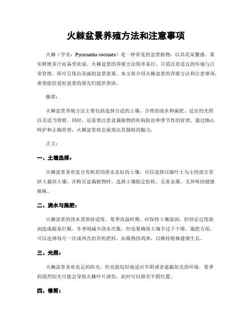 火棘盆景养殖方法和注意事项