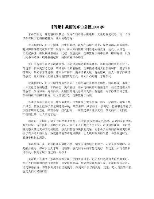 【写景】美丽的东山公园_800字
