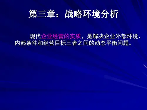 第三章战略环境分析PPT课件