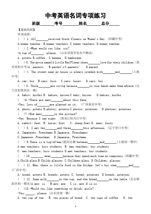 初中英语2024届中考词法复习名词专项练习(通用版)(附参考答案)