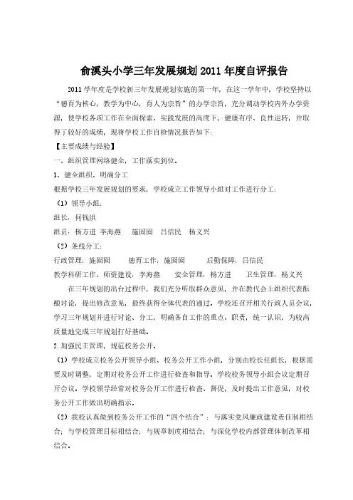 三年发展规划年度自评报告