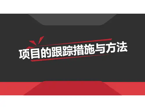 项目跟踪措施与方法 PPT