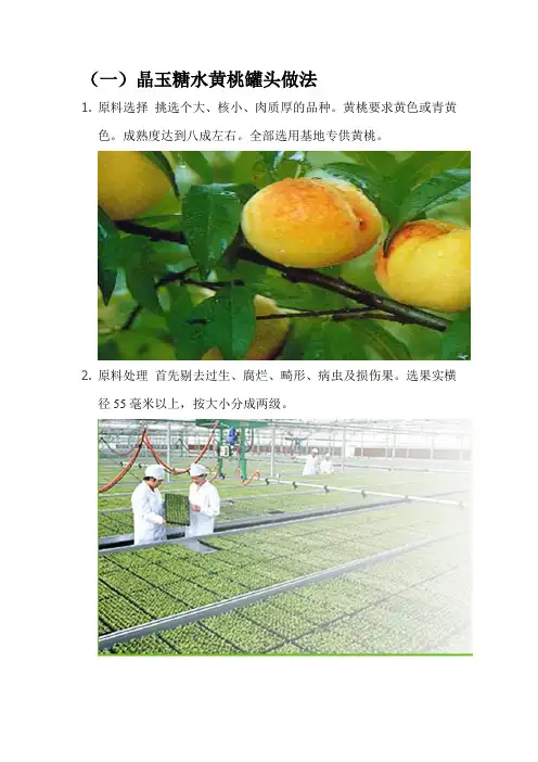 各种水果罐头做法