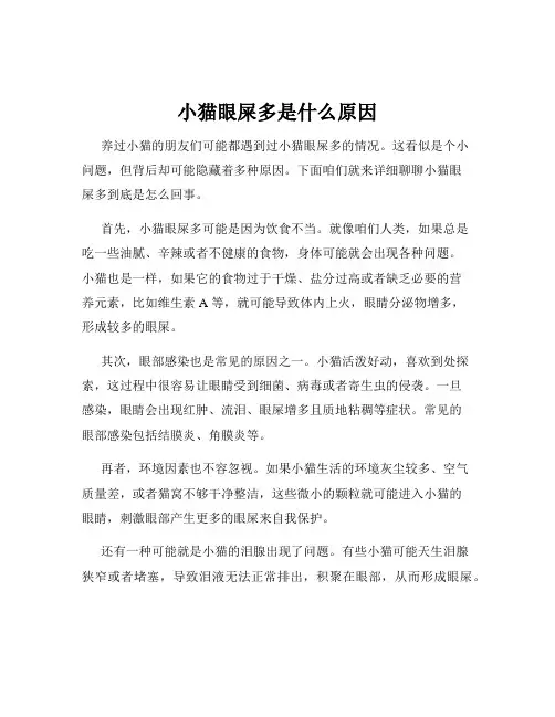小猫眼屎多是什么原因