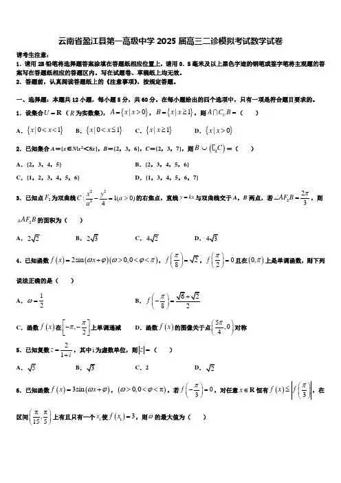 云南省盈江县第一高级中学2025届高三二诊模拟考试数学试卷含解析