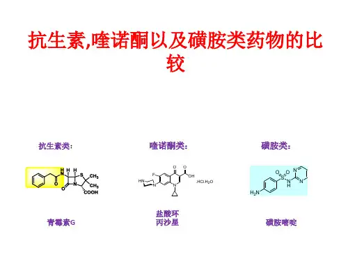抗生素,喹诺酮以及磺胺类药物