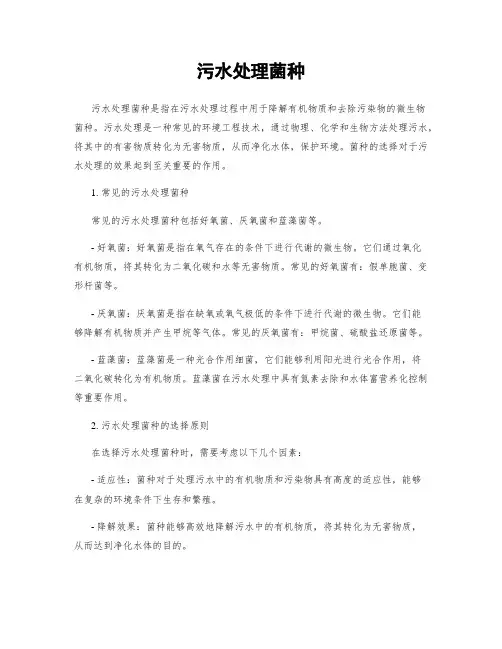 污水处理菌种