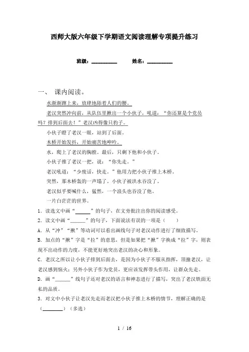 西师大版六年级下学期语文阅读理解专项提升练习