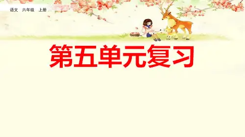 部编版六年级上册语文第五单元复习课件PPT