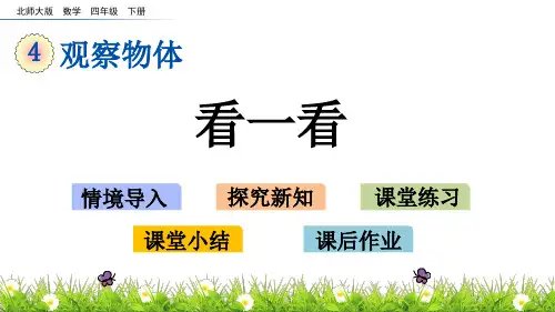 北师大版四年级下册数学 4.1 看一看课件(共14张PPT)