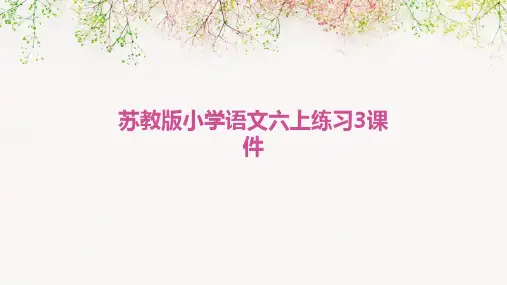 苏教版小学语文六上练习3课件