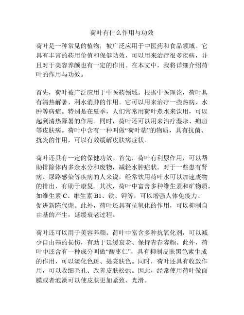 荷叶有什么作用与功效