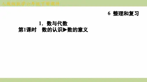 (新插图)人教版六年级下册数学 6-1-1 数的认识 数的意义 知识点梳理课件
