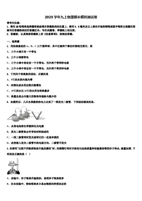 2023学年天津市滨海新区名校物理九年级第一学期期末达标测试试题含解析